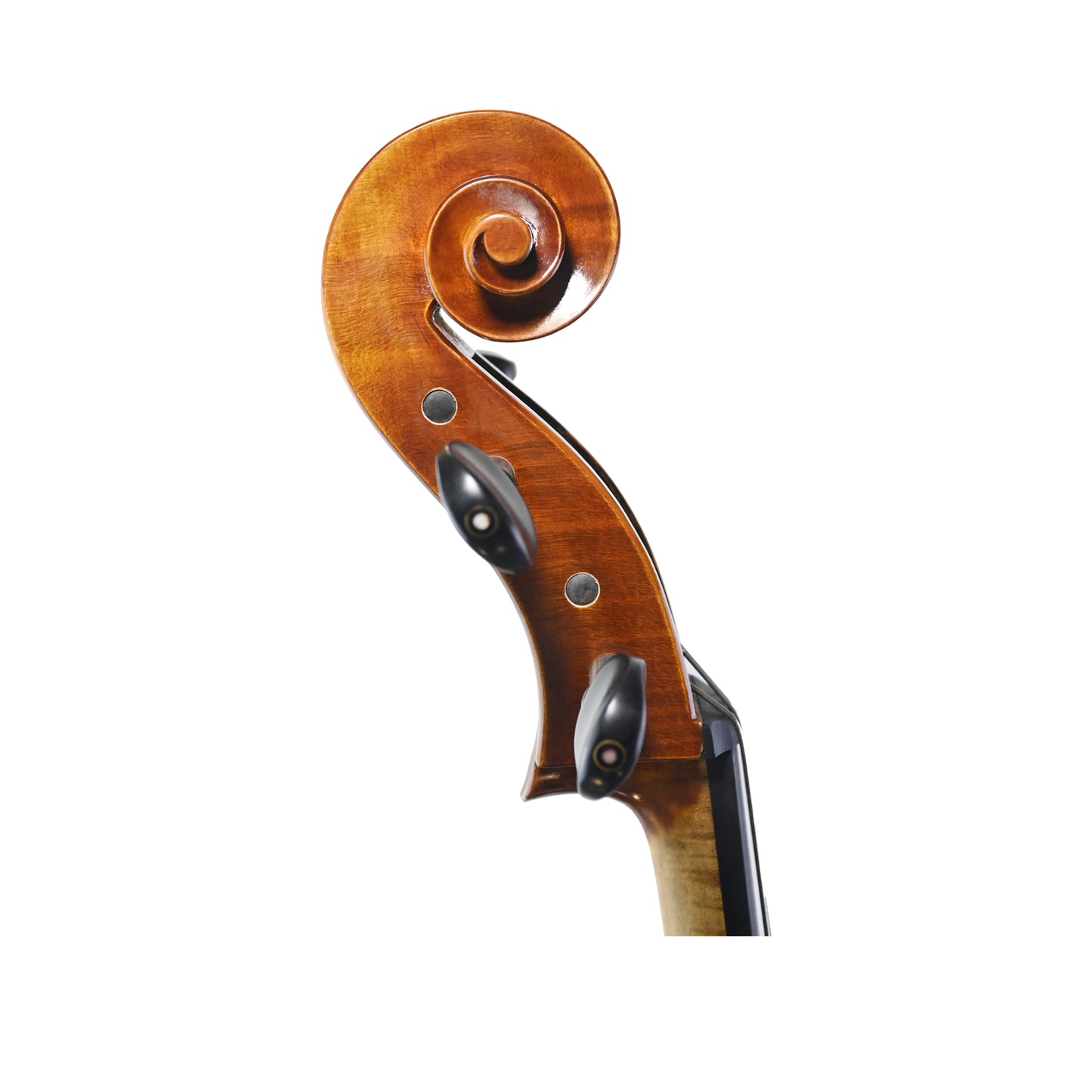 JYR 7044 Hot Selling Intermediate Strad Cello