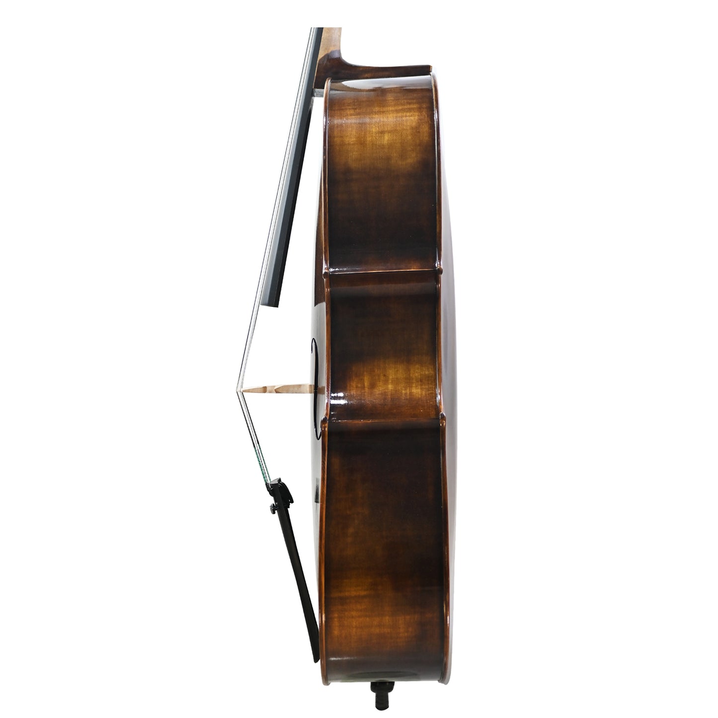 JYR 7045 Handmade Intermediate Strad Cello