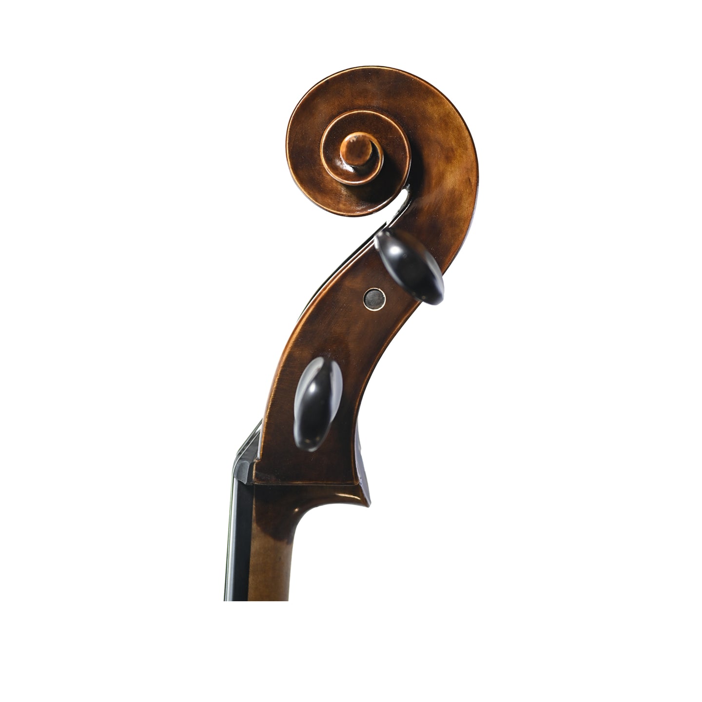 JYR 7045 Handmade Intermediate Strad Cello