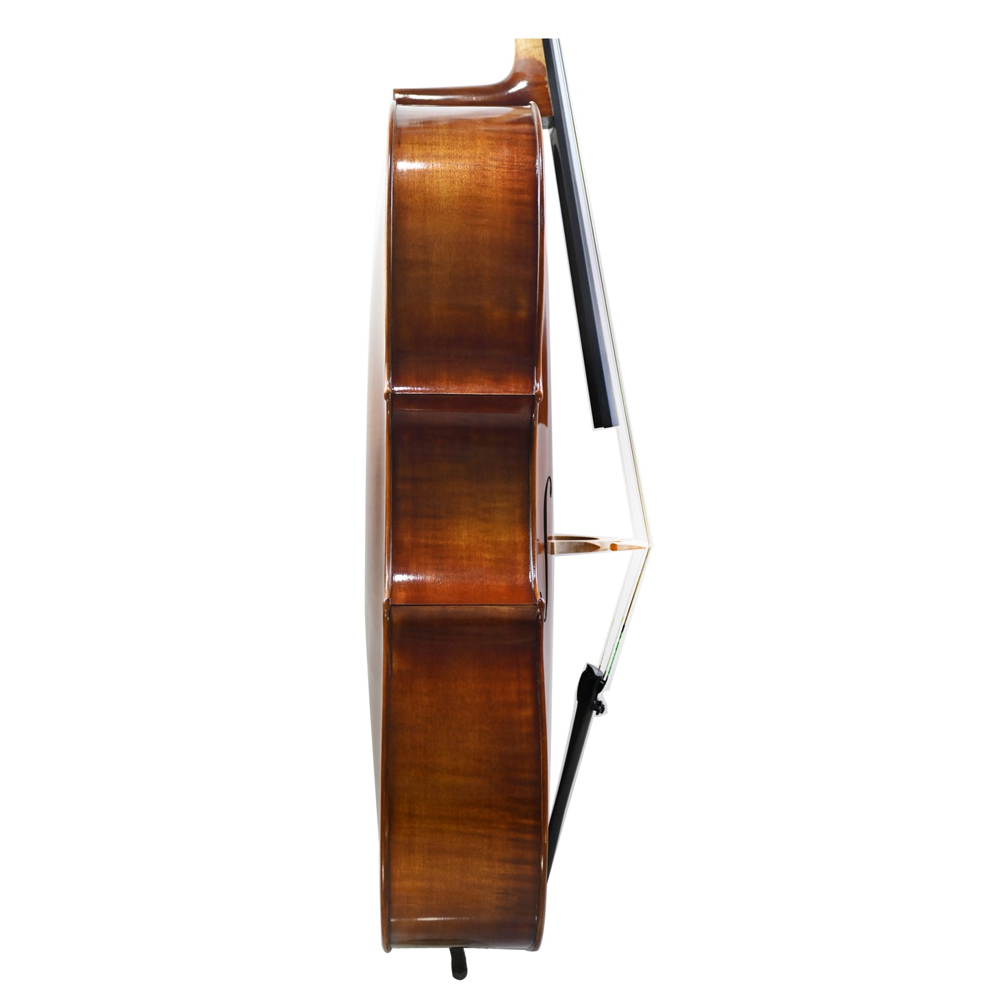 JYR 7044 Hot Selling Intermediate Strad Cello