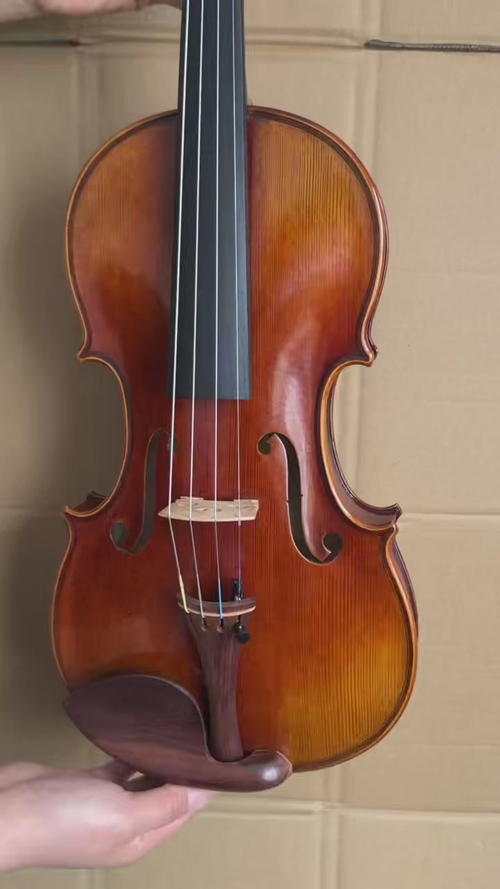 JYR 7004 Senior Beginner Violin
